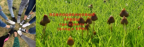 MESCALINE Баксан