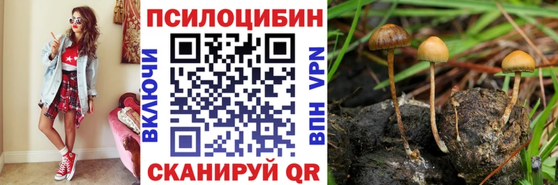 Псилоцибиновые грибы мухоморы  купить  цена  мега онион  Заволжск 